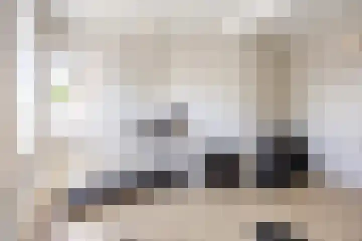Boterdiep Zz 15 Bedum thumbnail 27