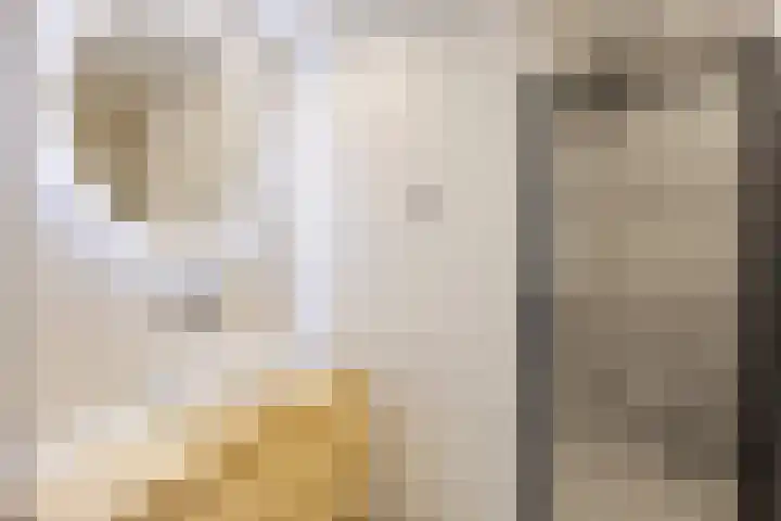 Boterdiep Zz 15 Bedum thumbnail 31