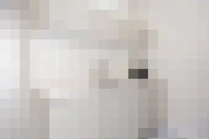 Boterdiep Zz 15 Bedum thumbnail 39