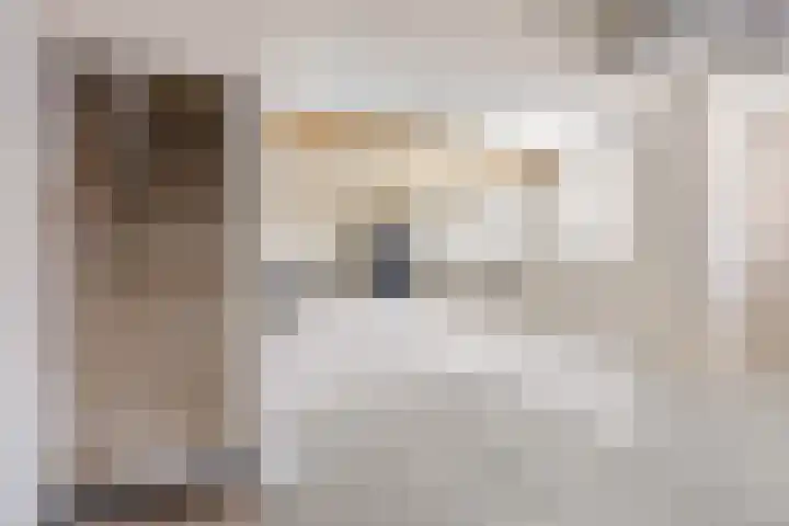 Boterdiep Zz 15 Bedum thumbnail 41