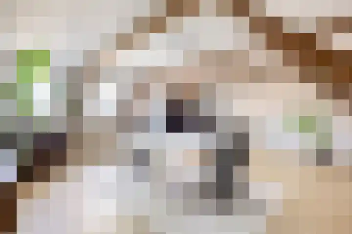 Boterdiep Zz 15 Bedum thumbnail 42