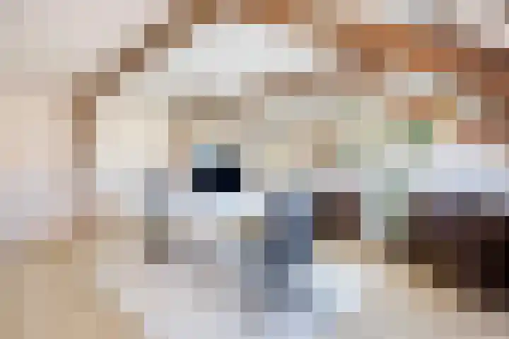 Boterdiep Zz 15 Bedum thumbnail 43