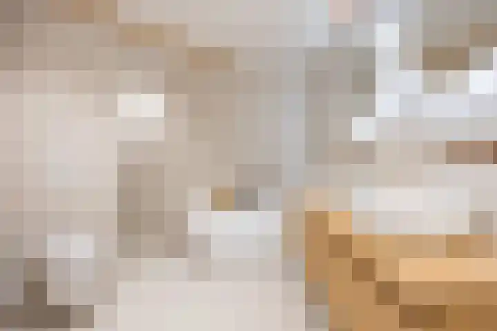 Boterdiep Zz 15 Bedum thumbnail 55
