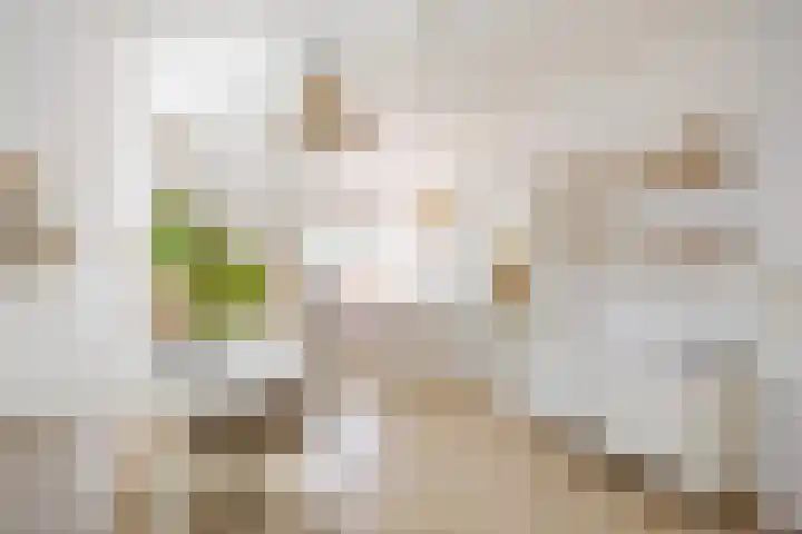 Boterdiep Zz 15 Bedum thumbnail 61