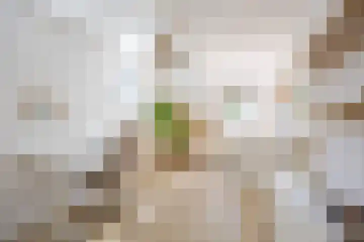 Boterdiep Zz 15 Bedum thumbnail 62