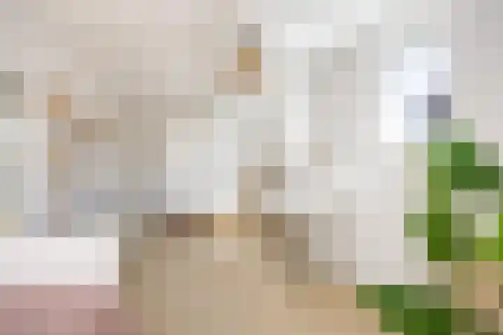 Boterdiep Zz 15 Bedum thumbnail 63