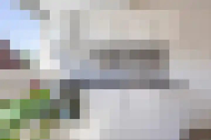 Boterdiep Zz 15 Bedum thumbnail 66