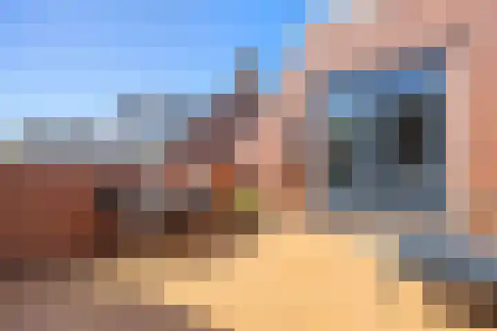 Boterdiep Zz 15 Bedum thumbnail 68