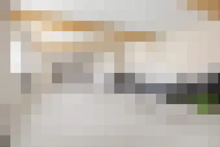Boterdiep Zz 15 Bedum thumbnail 7