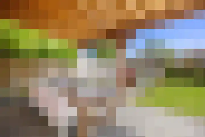Boterdiep Zz 15 Bedum thumbnail 74