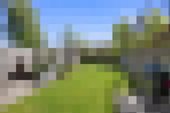 Boterdiep Zz 15 Bedum thumbnail 76