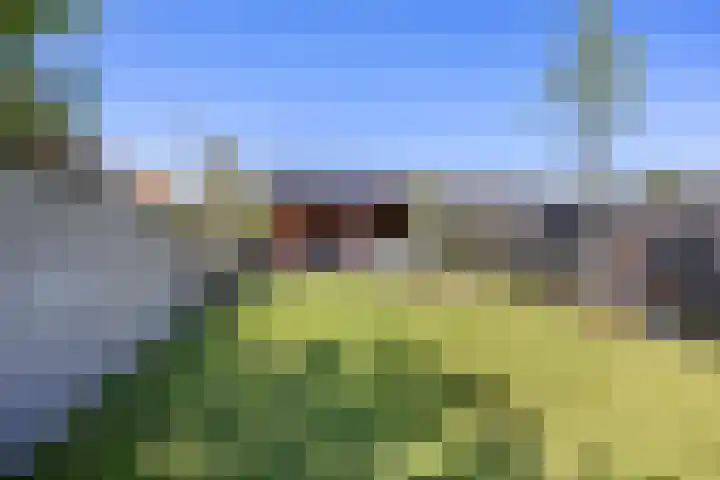 Boterdiep Zz 15 Bedum thumbnail 77