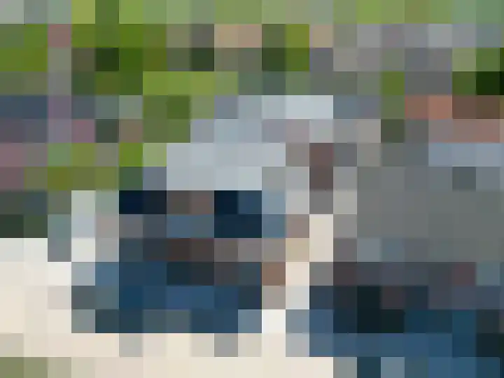 Boterdiep Zz 15 Bedum thumbnail 81