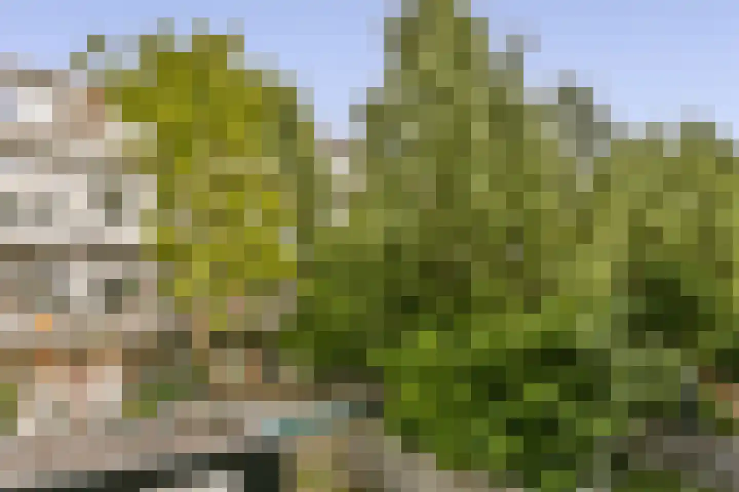 Boterdiepstraat 13 1 Amsterdam thumbnail 13