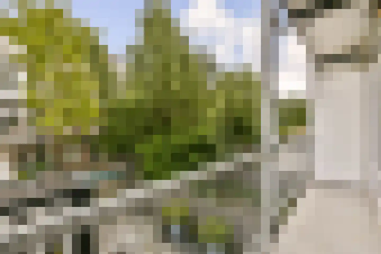Boterdiepstraat 13 1 Amsterdam thumbnail 14