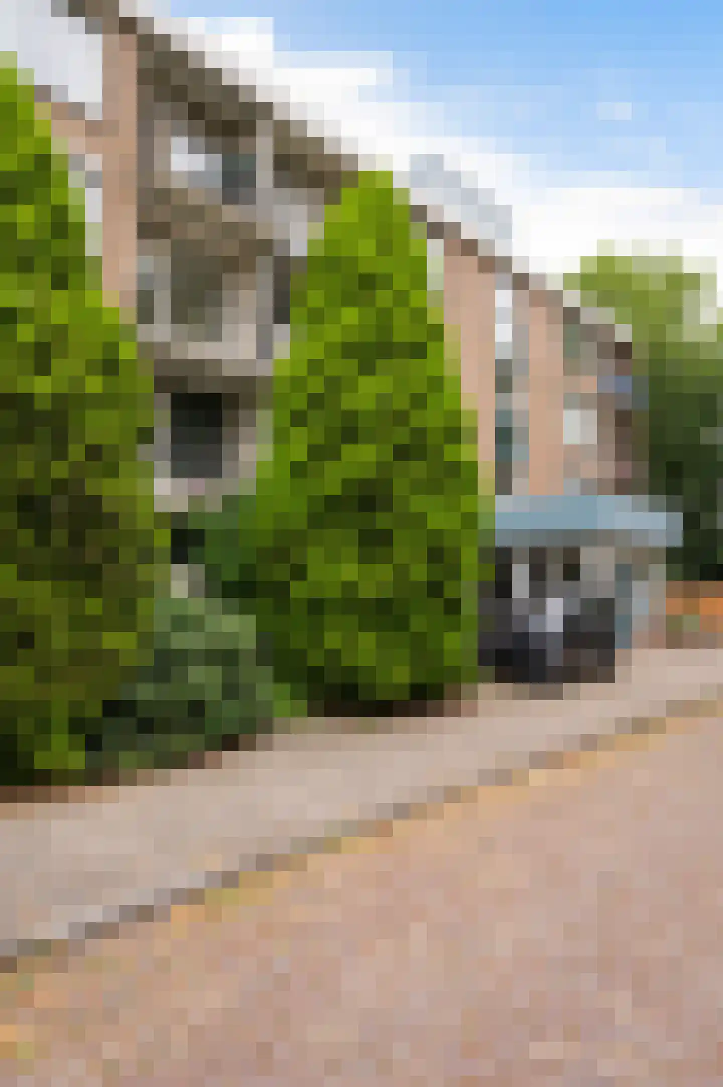 Boterdiepstraat 21 Dordrecht thumbnail 28