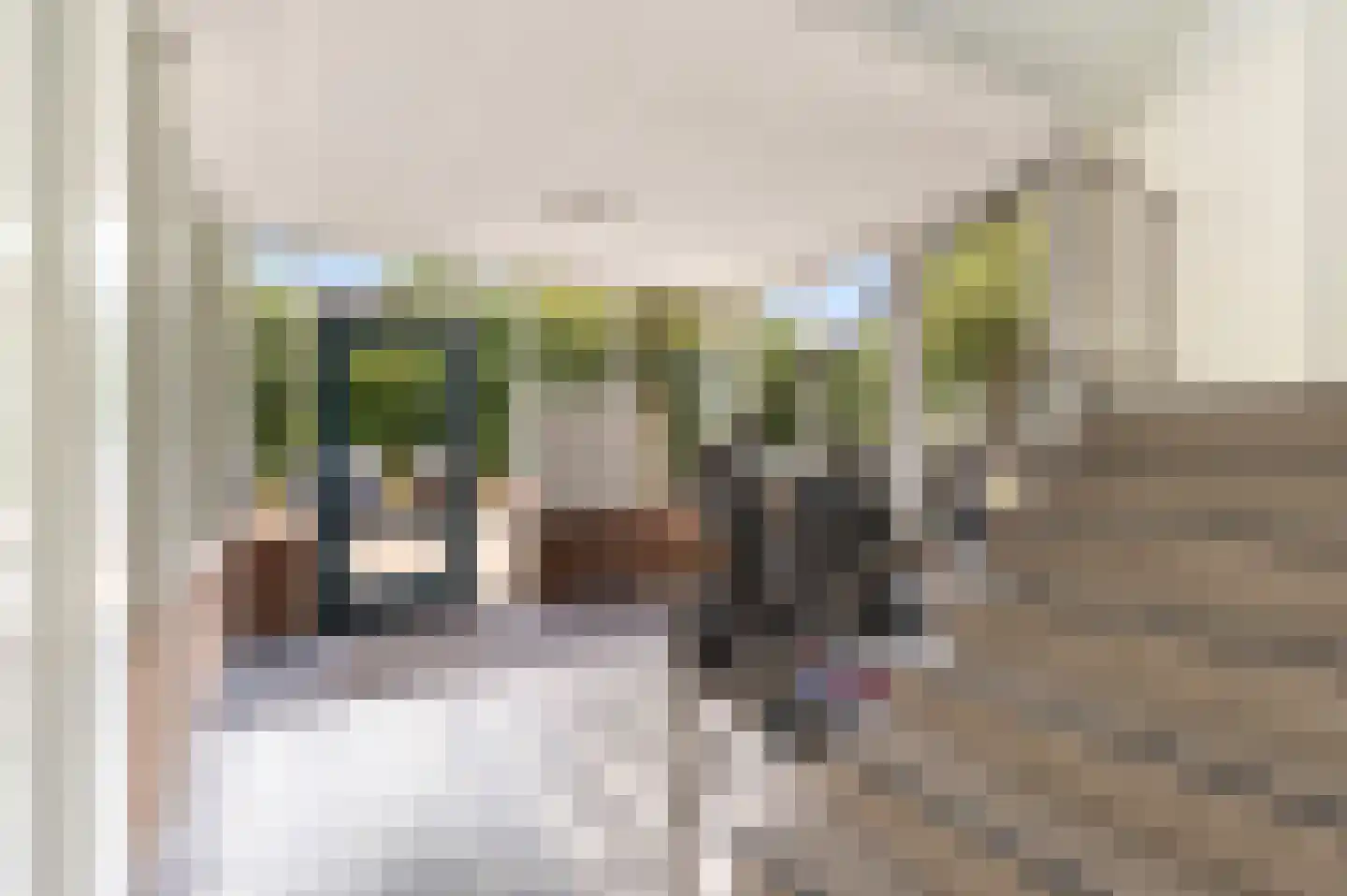 Boterdiepstraat 21 Dordrecht thumbnail 4