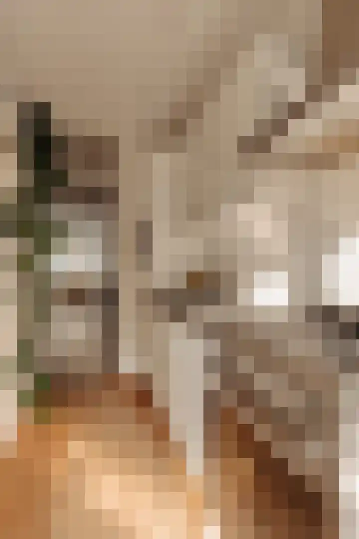 Boterdiepstraat 31 2 Amsterdam thumbnail 12