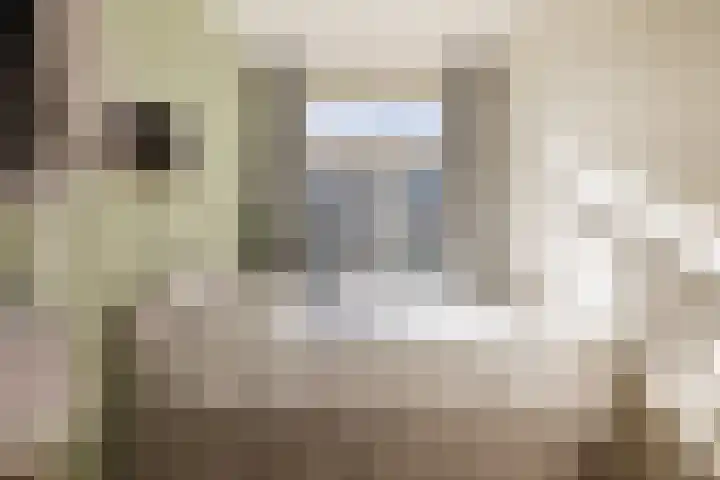 Boterdiepstraat 46 1 Amsterdam thumbnail 17