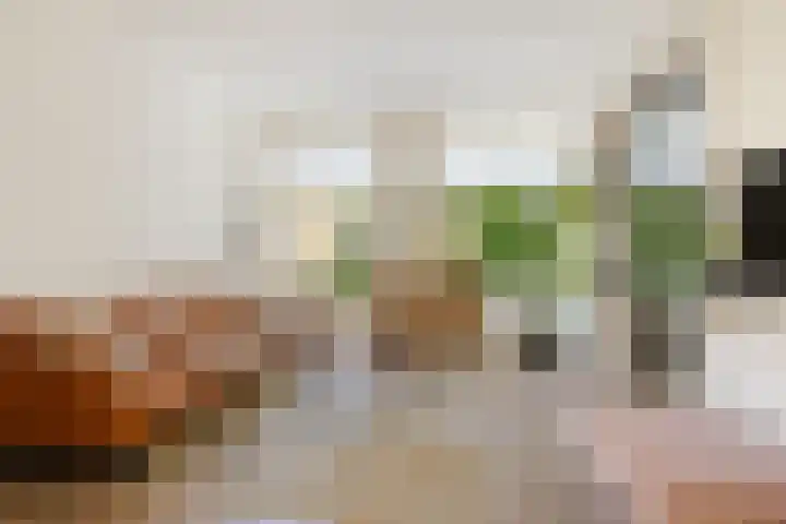 Boterdiepstraat 46 1 Amsterdam thumbnail 6