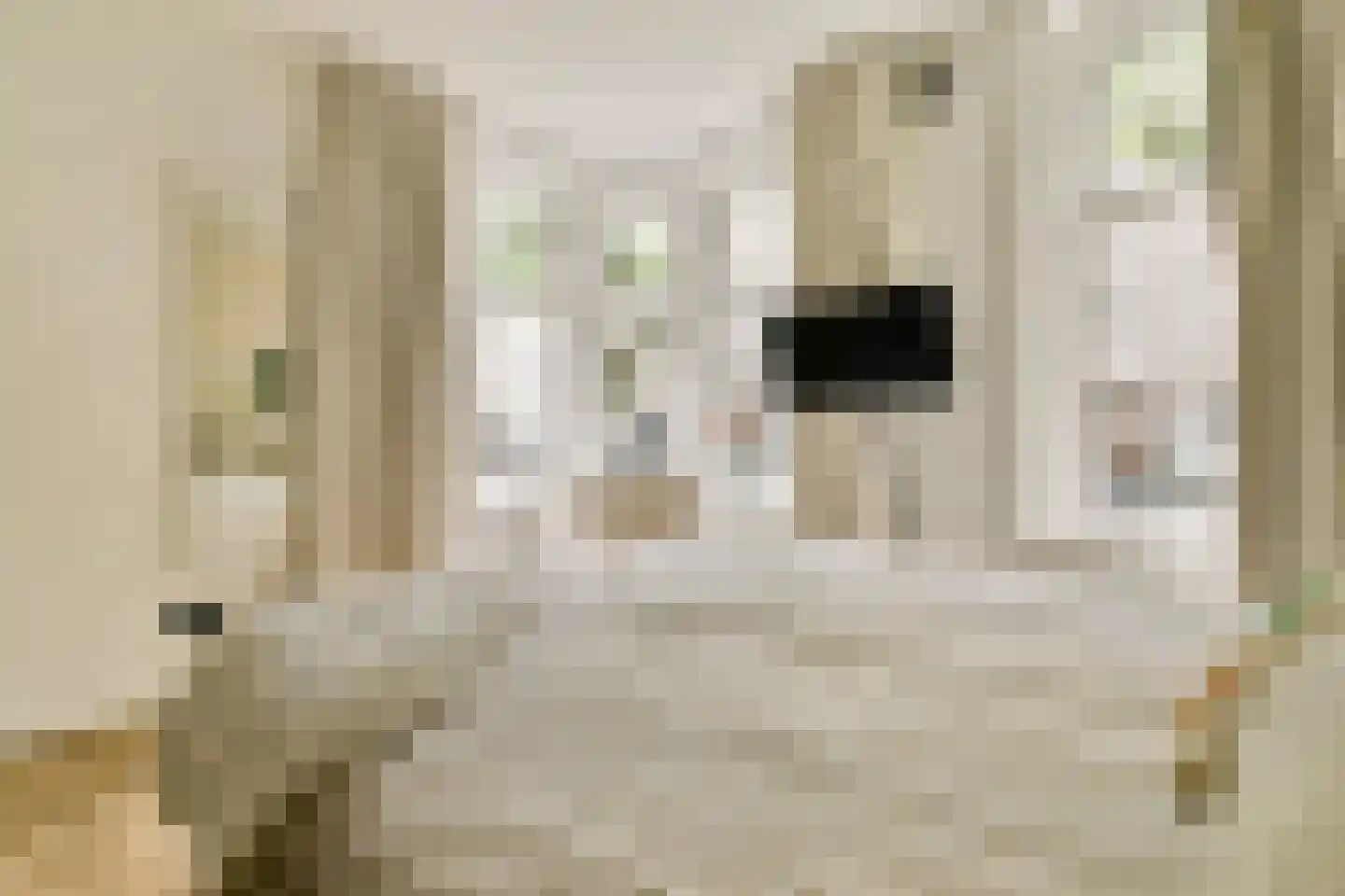 Boterdiepstraat 7 1 Amsterdam thumbnail 16