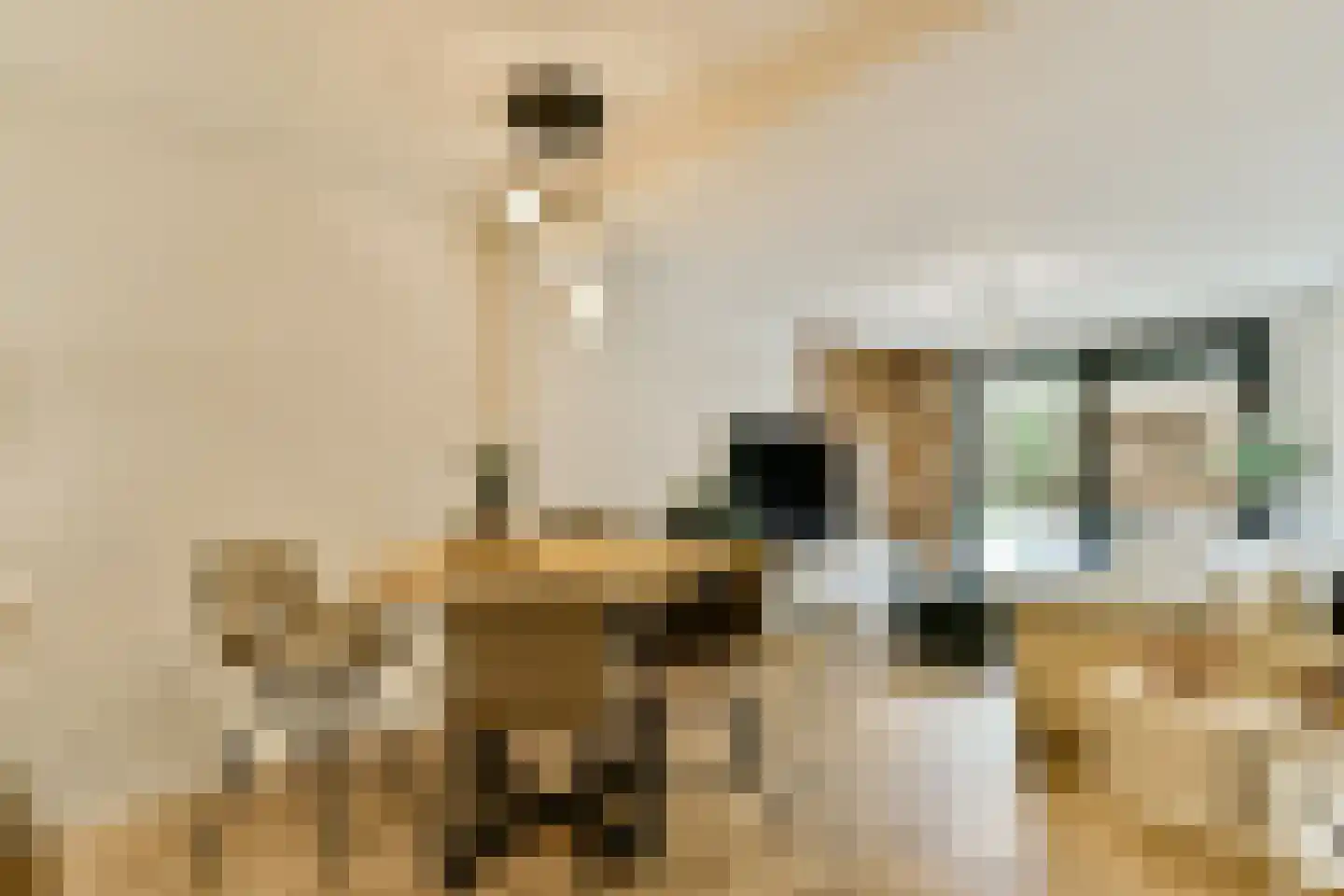 Boterdiepstraat 7 1 Amsterdam thumbnail 4