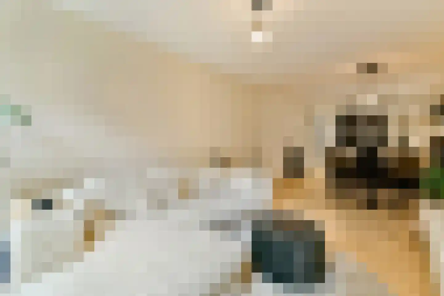 Boterdiepstraat 7 H Amsterdam thumbnail 7