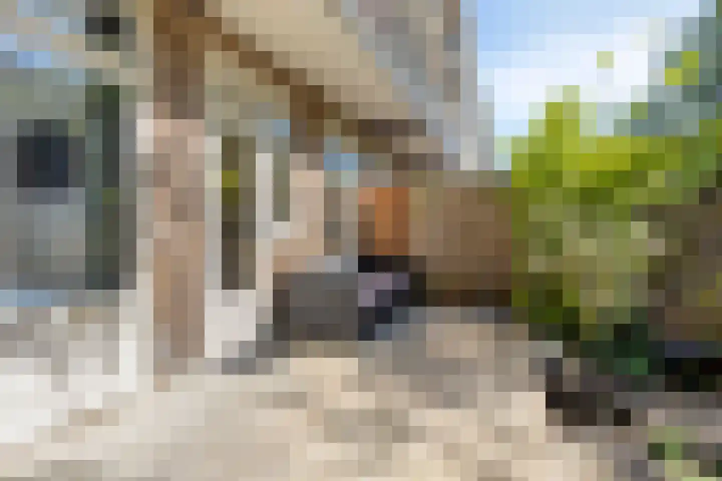 Boterdiepstraat 8 H Amsterdam thumbnail 14