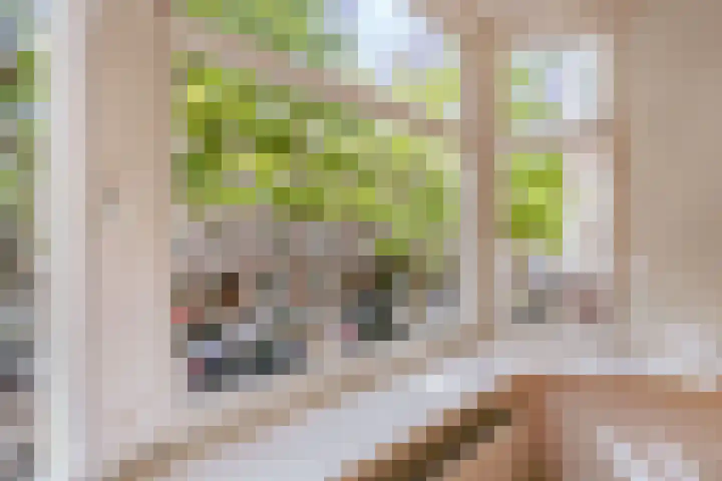 Boterdiepstraat 9 2 Amsterdam thumbnail 6