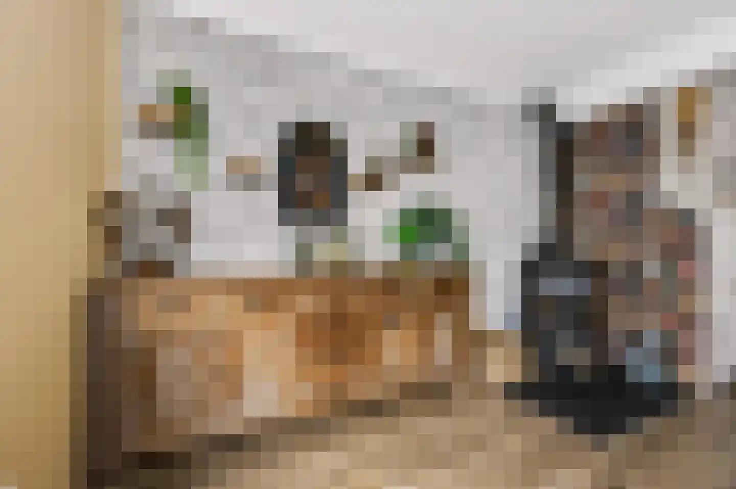Boterdijk 10 Siebengewald thumbnail 11