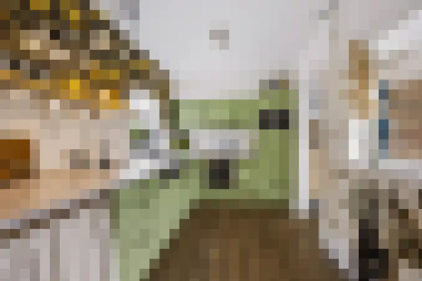 Boterdijk 10 Siebengewald thumbnail 18