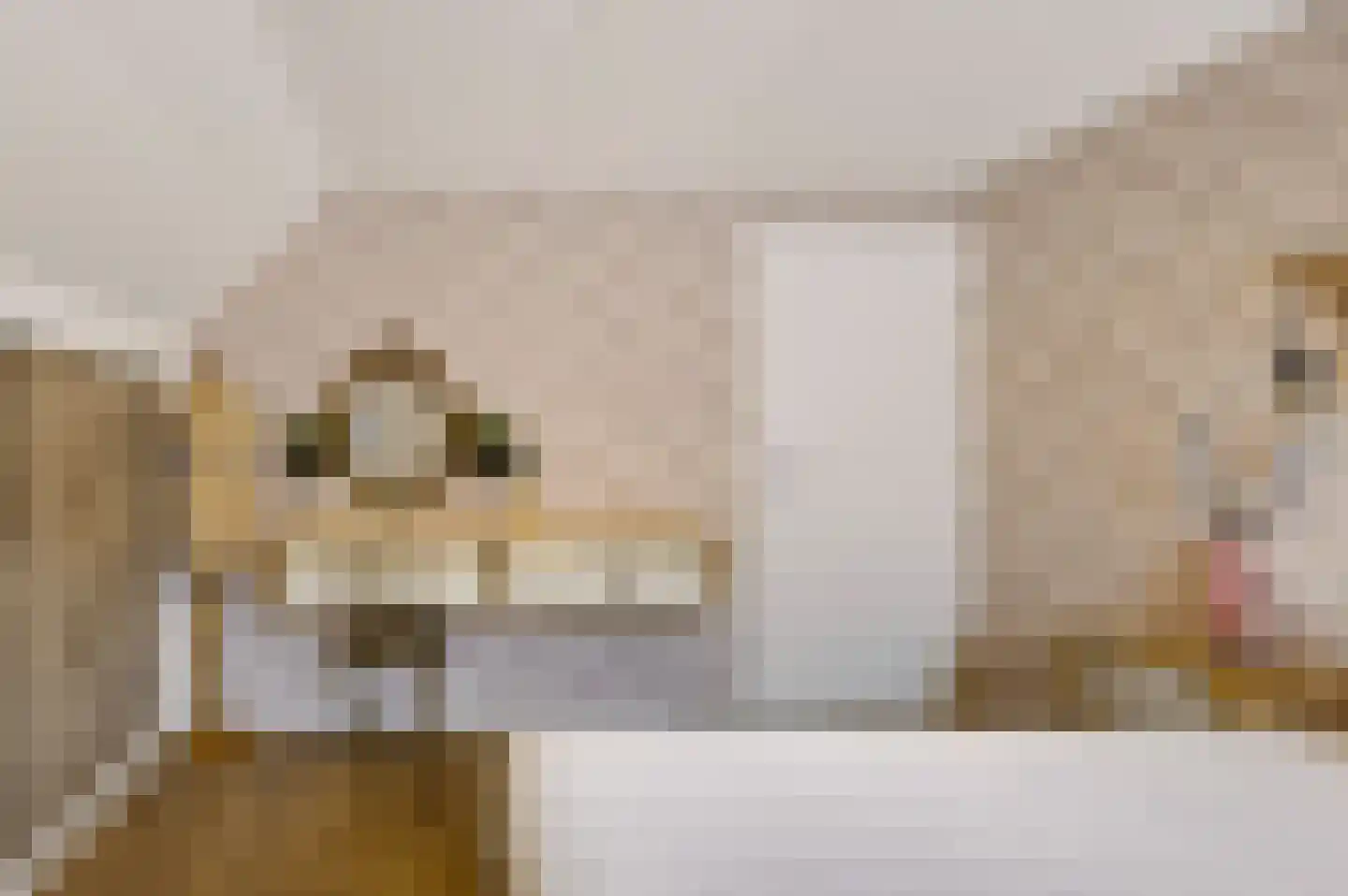 Boterdijk 10 Siebengewald thumbnail 30