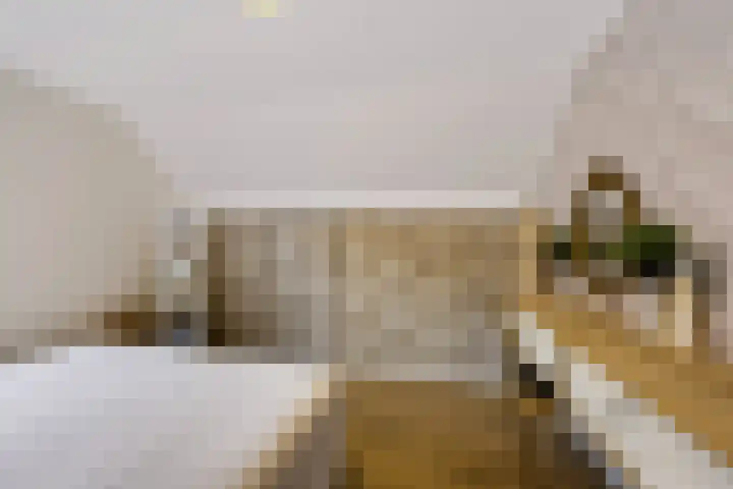 Boterdijk 10 Siebengewald thumbnail 31