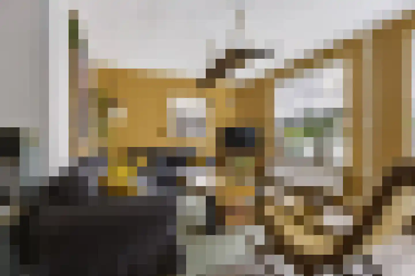 Boterdijk 10 Siebengewald thumbnail 8