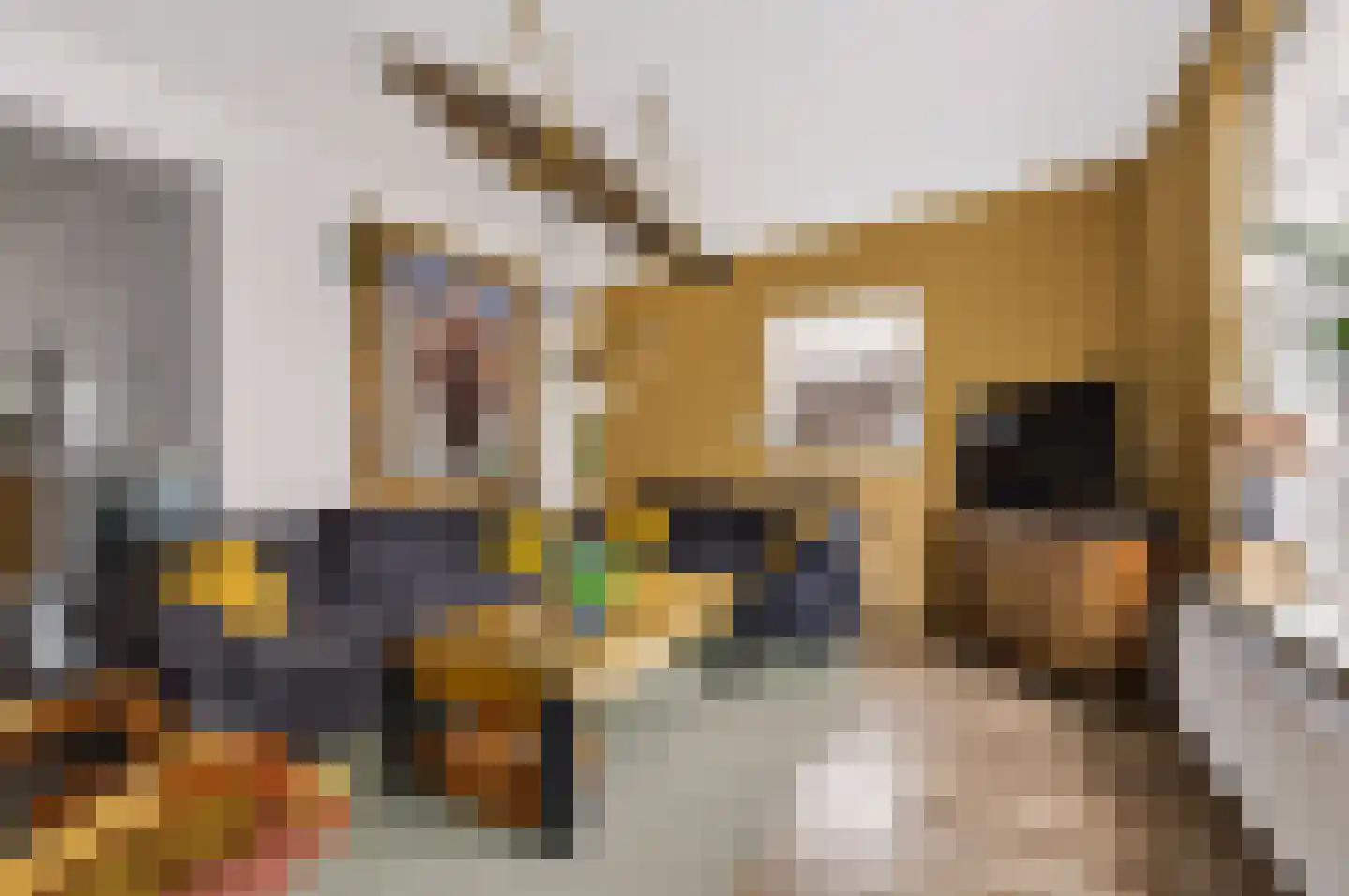Boterdijk 10 Siebengewald thumbnail 9