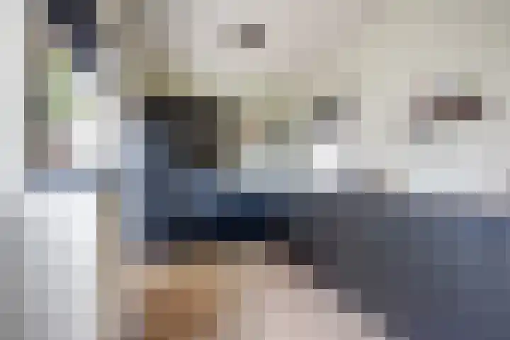 Boterdijk 24 Siebengewald thumbnail 18