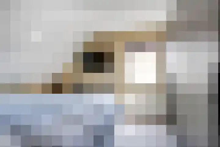 Boterdijk 24 Siebengewald thumbnail 20