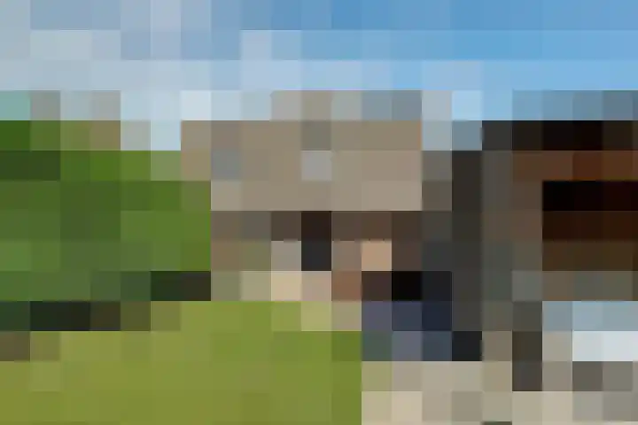 Boterdijk 24 Siebengewald thumbnail 28