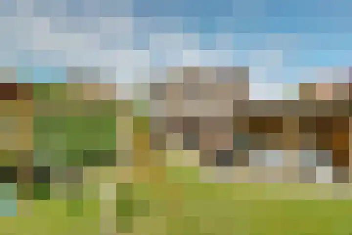 Boterdijk 24 Siebengewald thumbnail 6