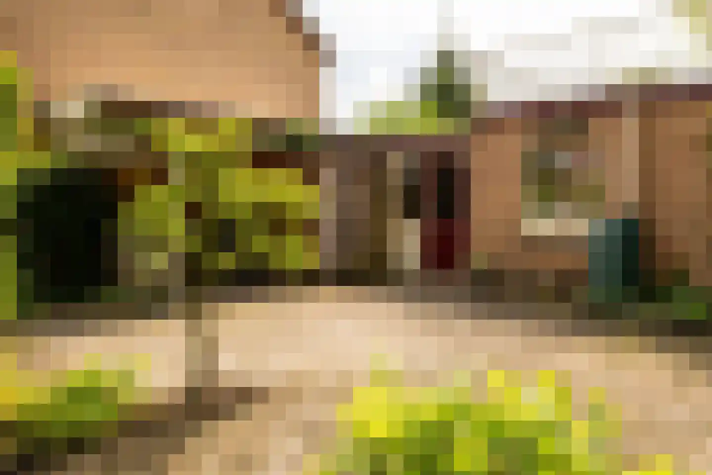 Boterdijk 26 Nunspeet thumbnail 10