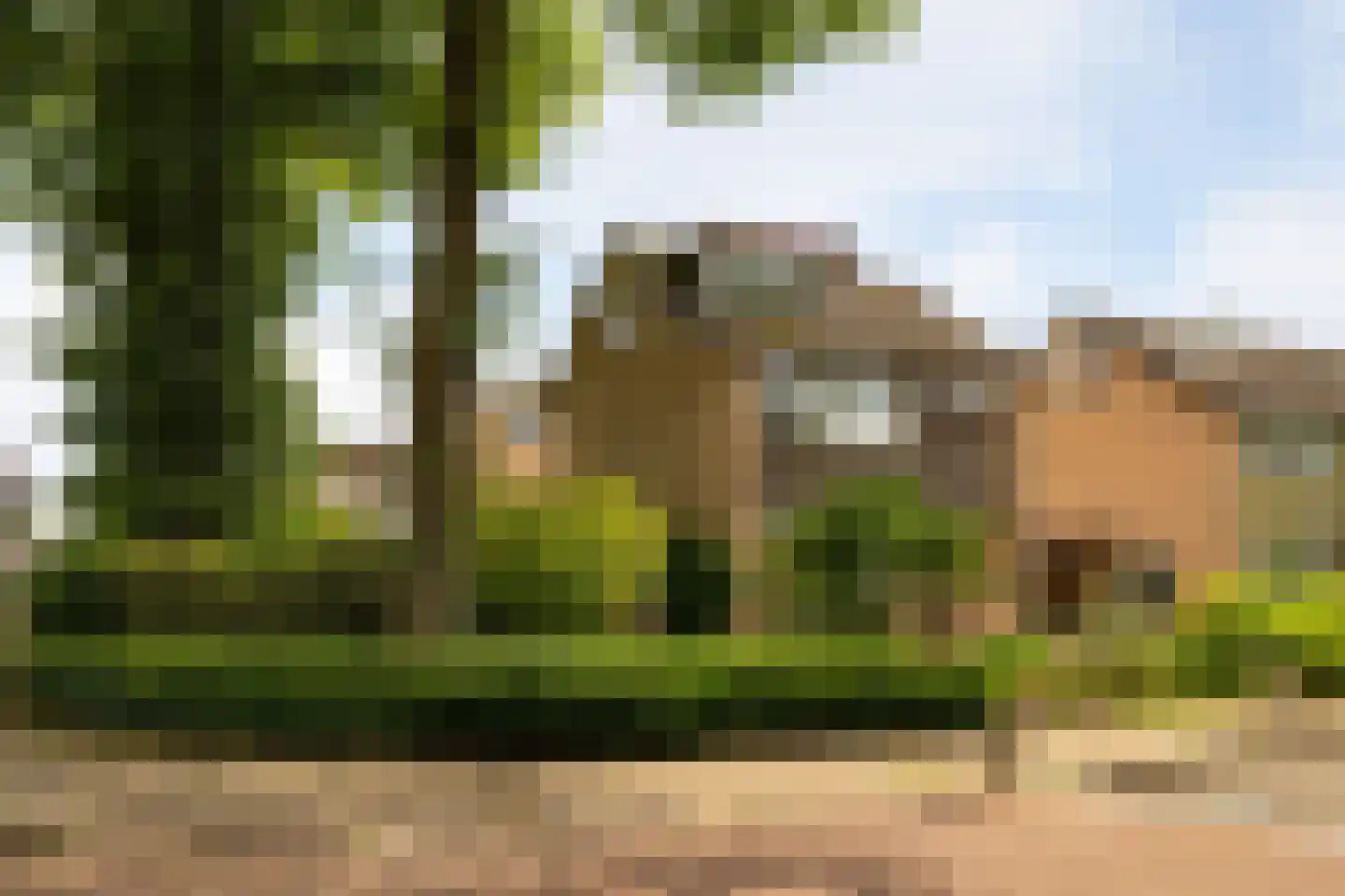 Boterdijk 26 Nunspeet thumbnail 54