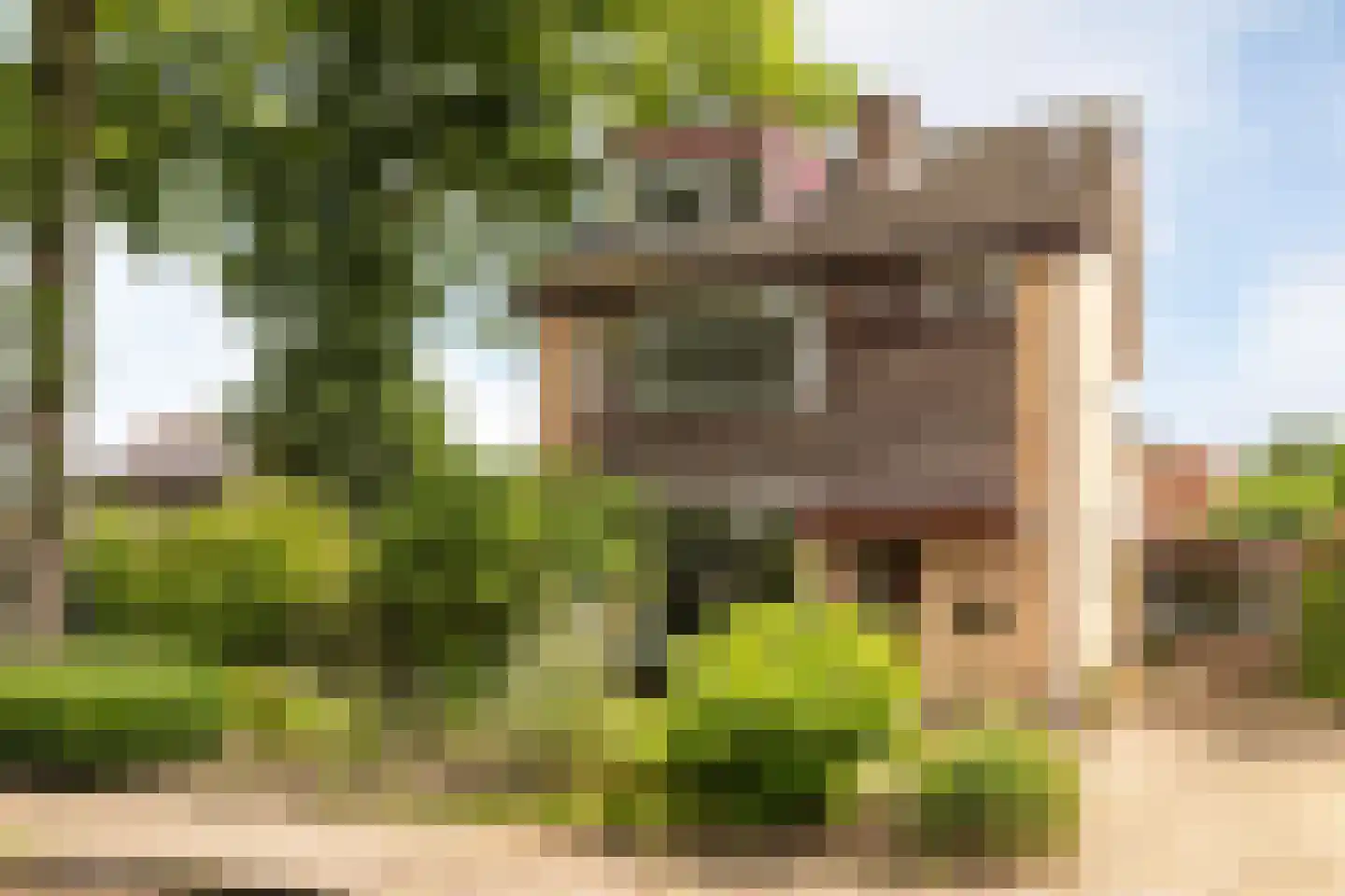 Boterdijk 26 Nunspeet thumbnail 6