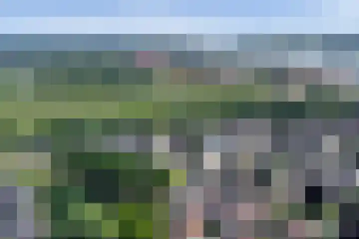 Boterdijk 28 Tolkamer thumbnail 37