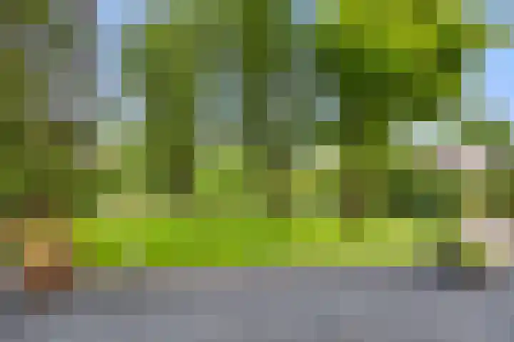 Boterdijk 4 Malden thumbnail 17