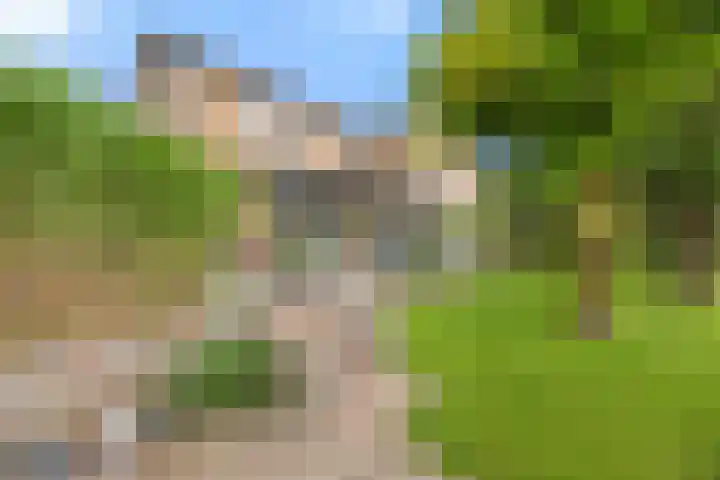 Boterdijk 4 Malden thumbnail 20
