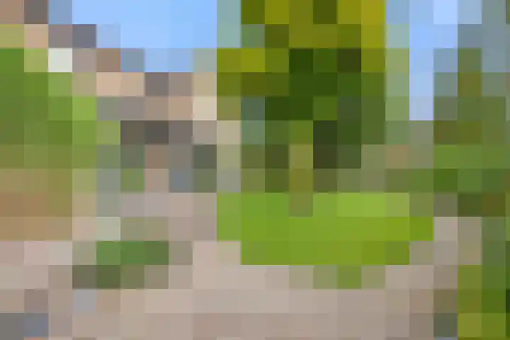 Boterdijk 4 Malden thumbnail 21