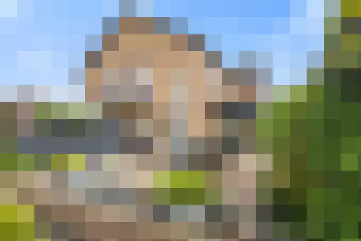 Boterdijk 4 Malden thumbnail 22