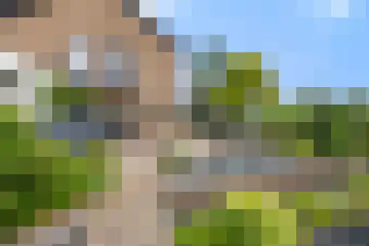 Boterdijk 4 Malden thumbnail 23