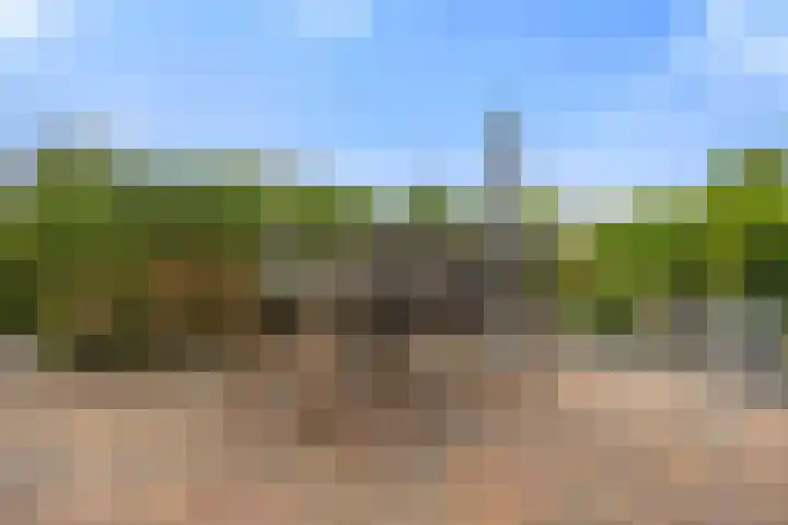 Boterdijk 4 Malden thumbnail 24