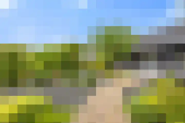 Boterdijk 4 Malden thumbnail 25